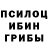 Псилоцибиновые грибы GOLDEN TEACHER Convoy