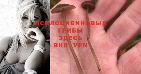MDMA Алзамай